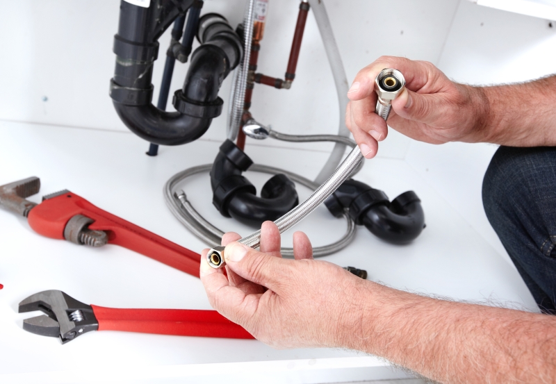 Toilet repair being carried out in Chiswick